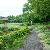 Entrance Walkway boardered by plants and herbs.